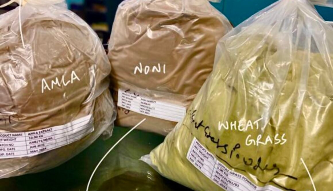 Amla, Noni and Wheat Grass Extract
