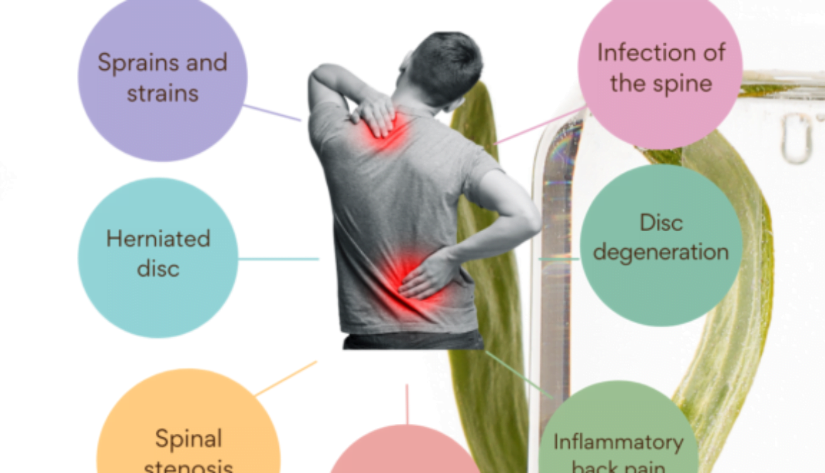 Neck and Back pain medication