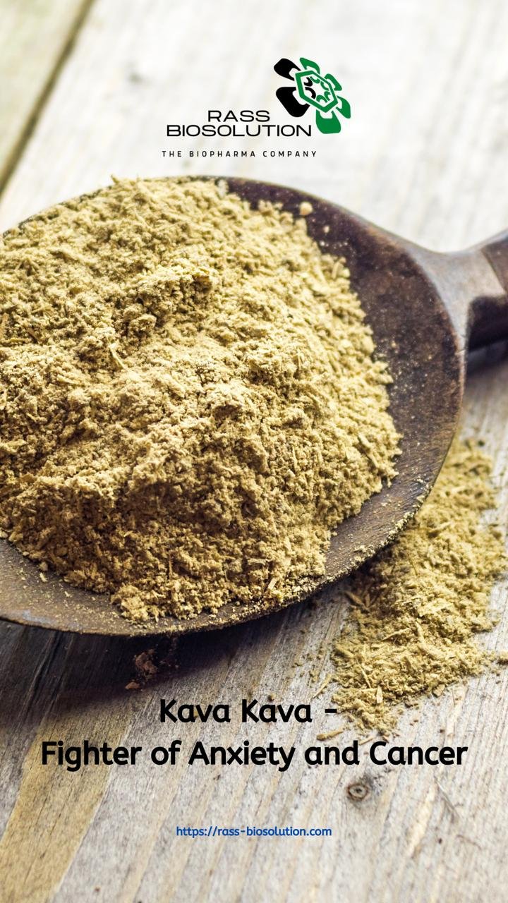 Kava kava Image
